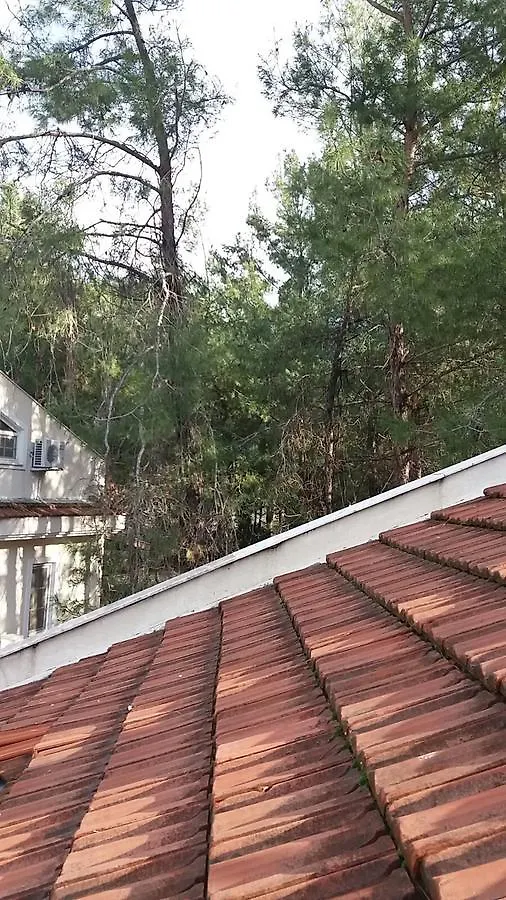 Nicholas Gate Apartment Oludeniz